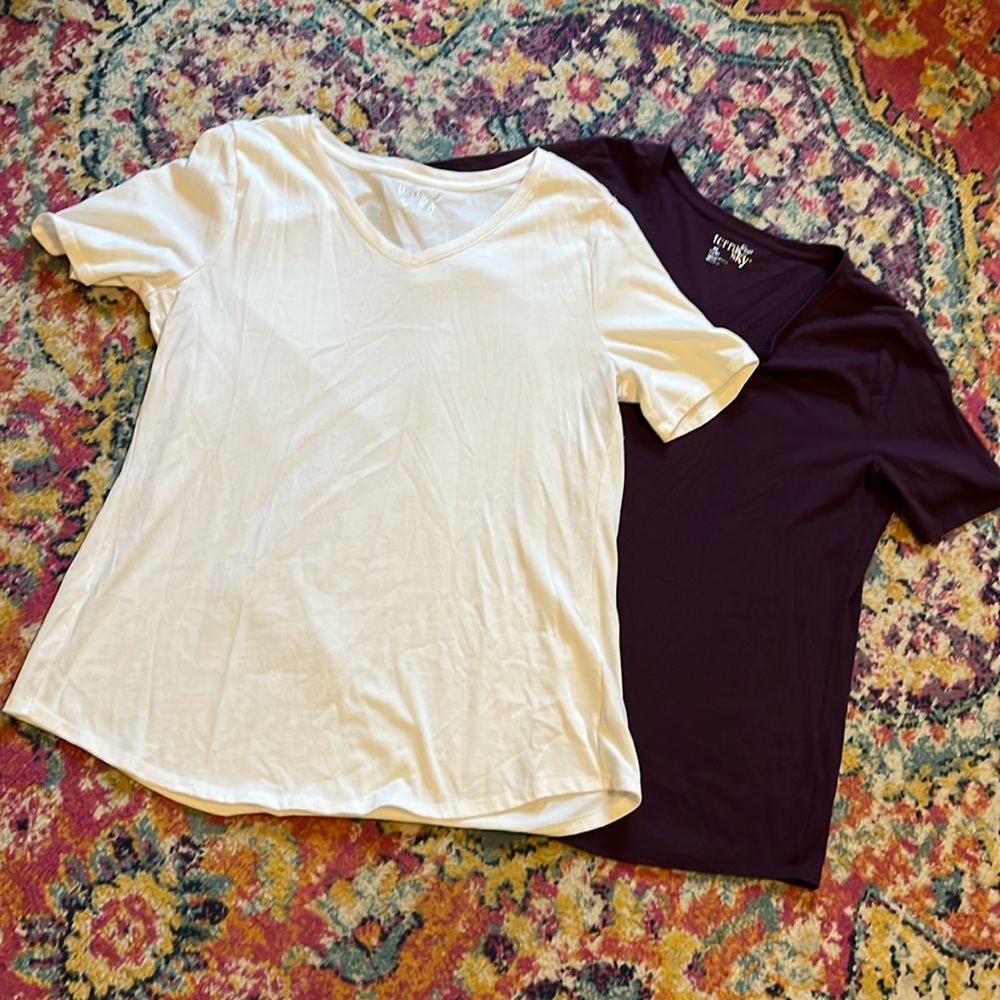 PICK 5/$15 Bundle - Terra & Sky soft T shirts purple white v-necks